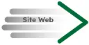 SiteWeb.webp