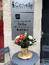 Canelle.IMG_5091.webp