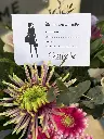 Canelle.IMG_4843.webp
