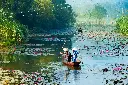Agence_de_voyages_Visages_du_Monde_Jonzac_17500_Asie_Vietnam_Thailande.webp