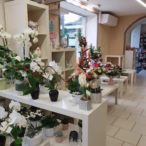 magasin.présentoir.webp
